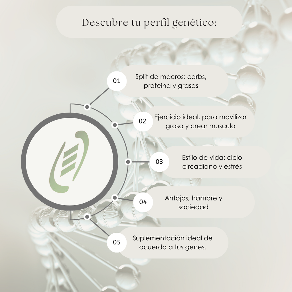 Nutrigenética Básica